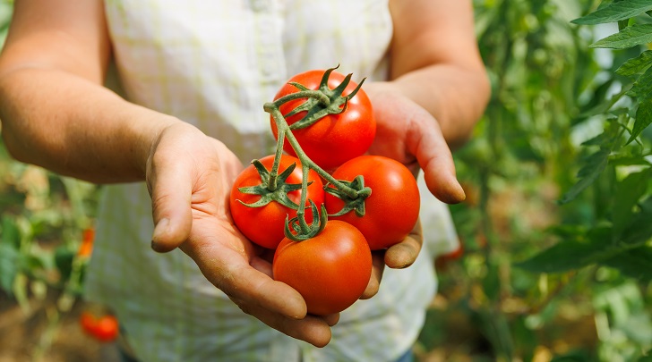 Precios agropecuarios en octubre se mantuvieron estables