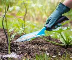 Abono y fertilizantes