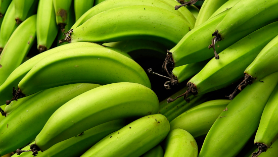 Precios agropecuarios registraron un crecimiento mensual de 1,3% en junio
