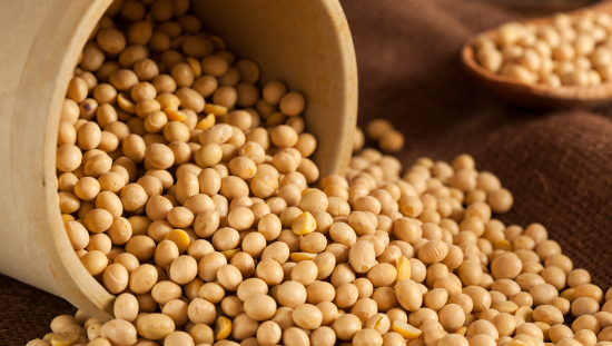 Producción de soya en Colombia creció 113% en la última década