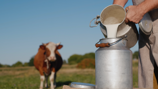 Bolsa Mercantil de Colombia lanza nuevo ciclo de subastas de  leche para fortalecer la absorción de la producción nacional