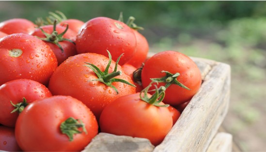Tomate y pollo impulsan el alza de 1,6 % del IPAP en julio, reporta la Bolsa Mercantil 