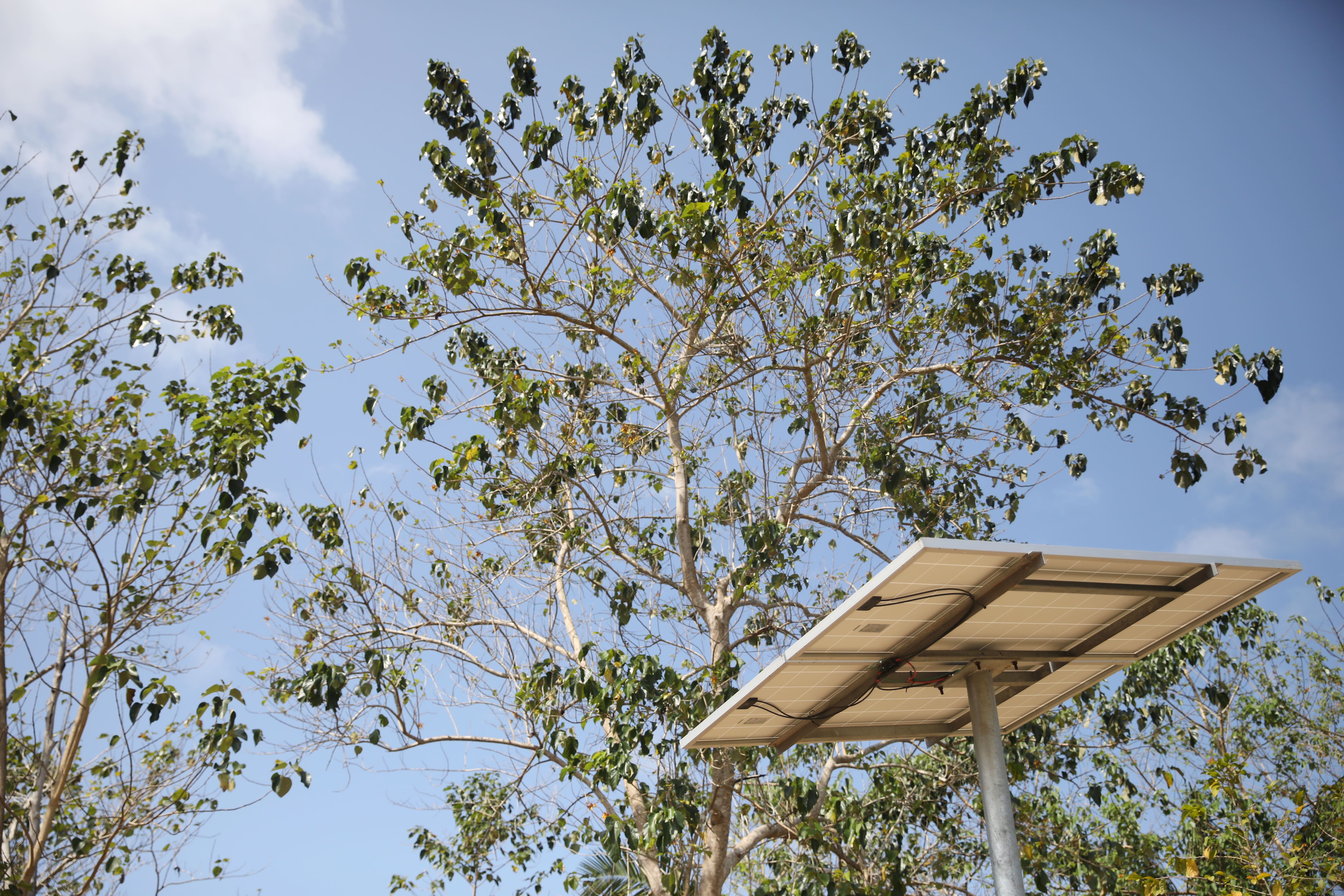 Accede a la plataforma