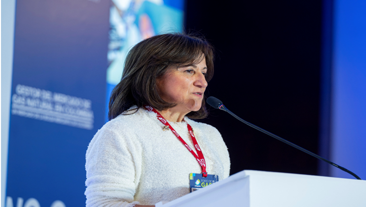 Abastecimiento de gas: oferta nacional, importaciones y retos del sector a debate en el Foro de Gas 2026