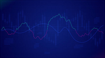 ¿Qué son los Principios de Finalidad y Protección de Garantías?
